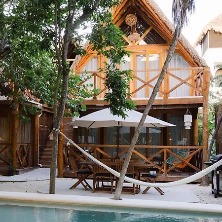 Nido By Puerto Morelos